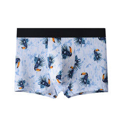 Anti-Bacterial Mens Boxer Briefs Underwear Toucan Plus Size Man Panties